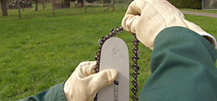 Remove the Old Chainsaw Chain